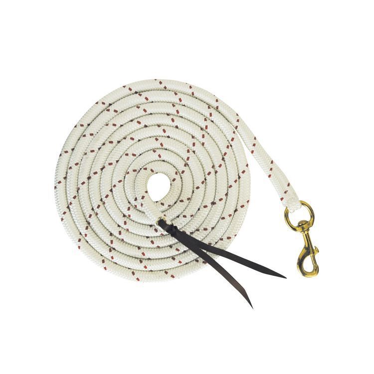 Lead Rope #1